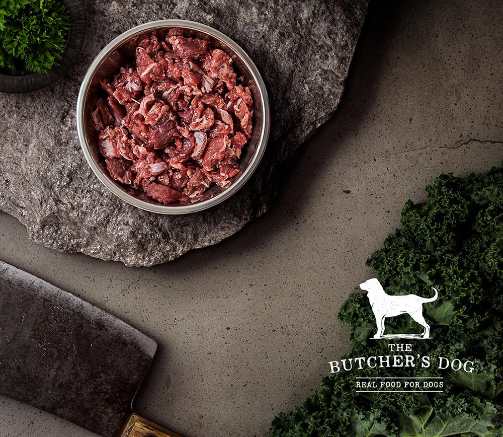 The Butcher's Dog - Photoshoot
